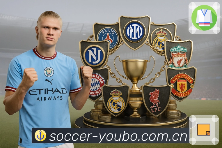 <strong>友博体育</strong>App 下载二维码入口